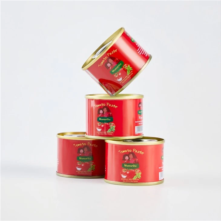 Canned Tomato Paste 70G high quality